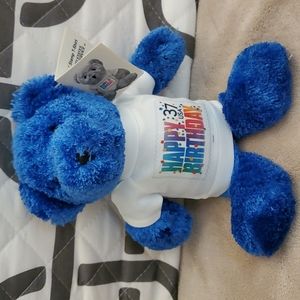 Happy Birthday Teddy 9"